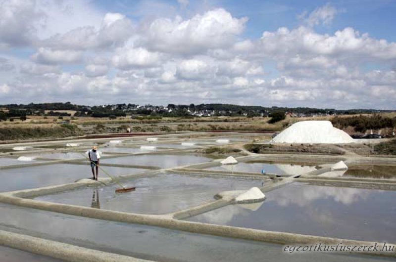 Fleur de Sel, avagy Sópehely